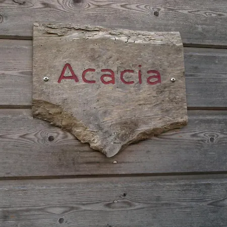 Acacia *