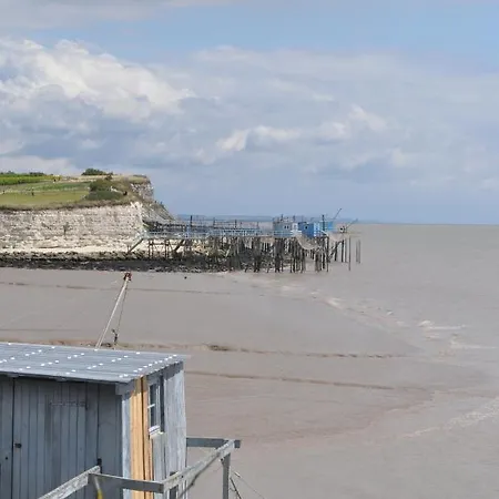 Acacia * Cherbonnieres (Charente-Maritime)