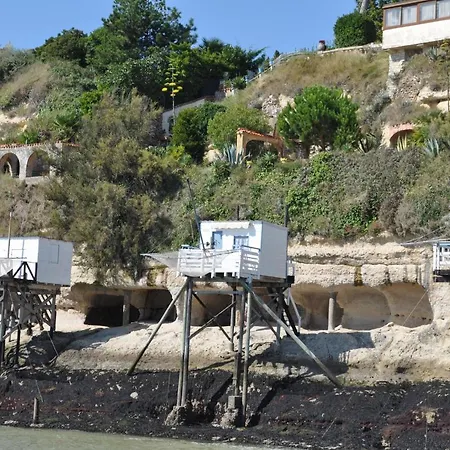 Acacia * Cherbonnieres (Charente-Maritime)