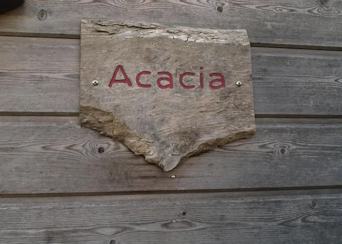 Acacia *