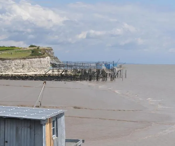Acacia * Cherbonnieres (Charente-Maritime)