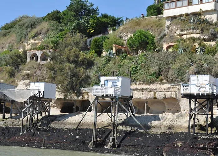 Acacia * Cherbonnieres (Charente-Maritime)