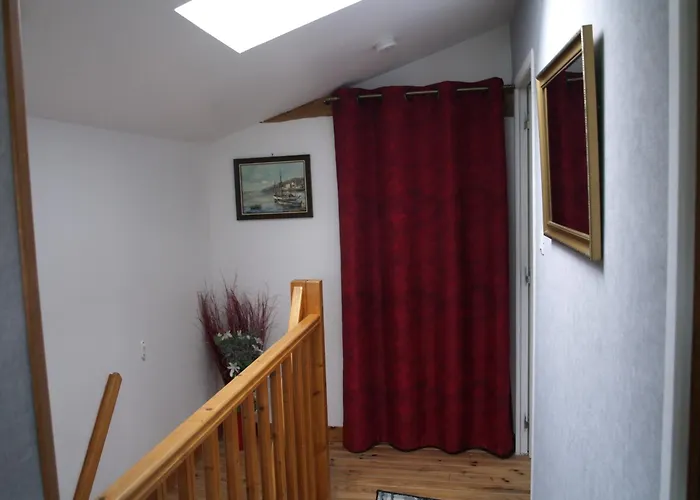 Acacia Cherbonnieres (Charente-Maritime)